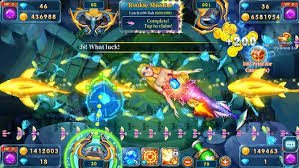 kkfb login